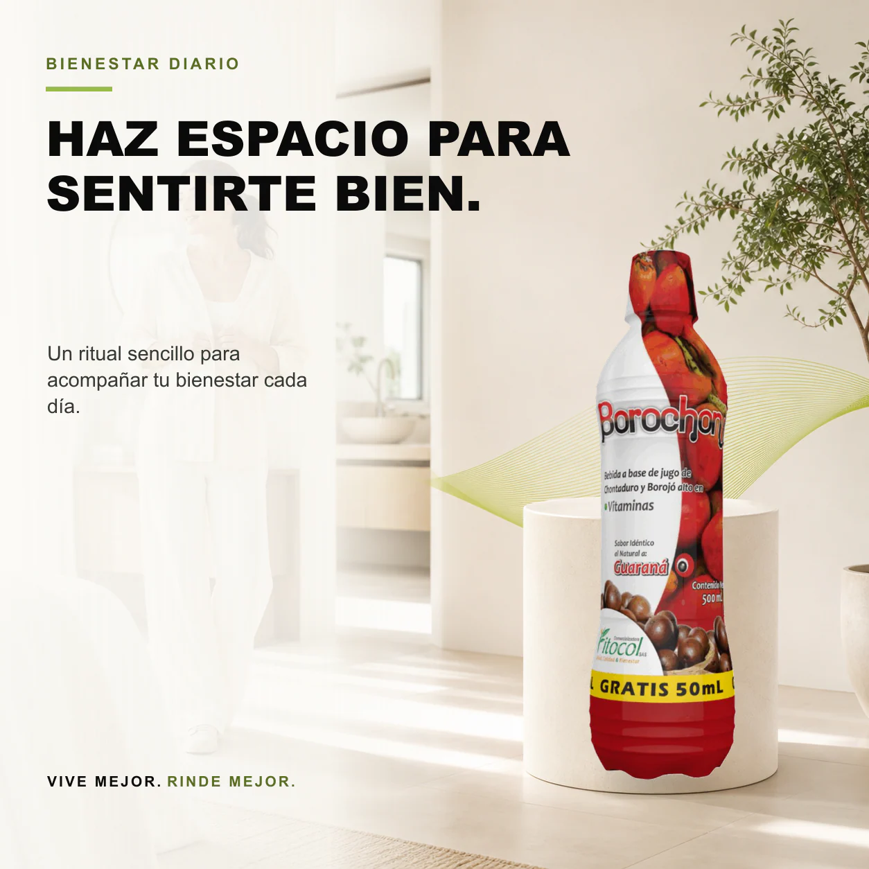 Borochón 500 ml - Fitocol - Image 3