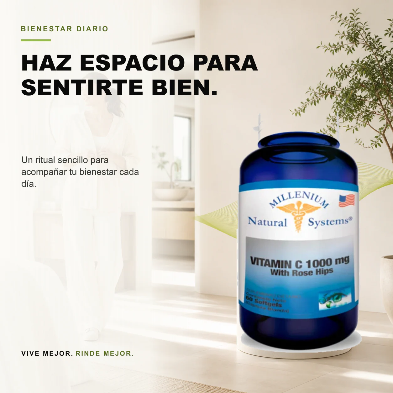 Vitamina C 1000mg 60 Cápsulas Natural Systems - Image 3