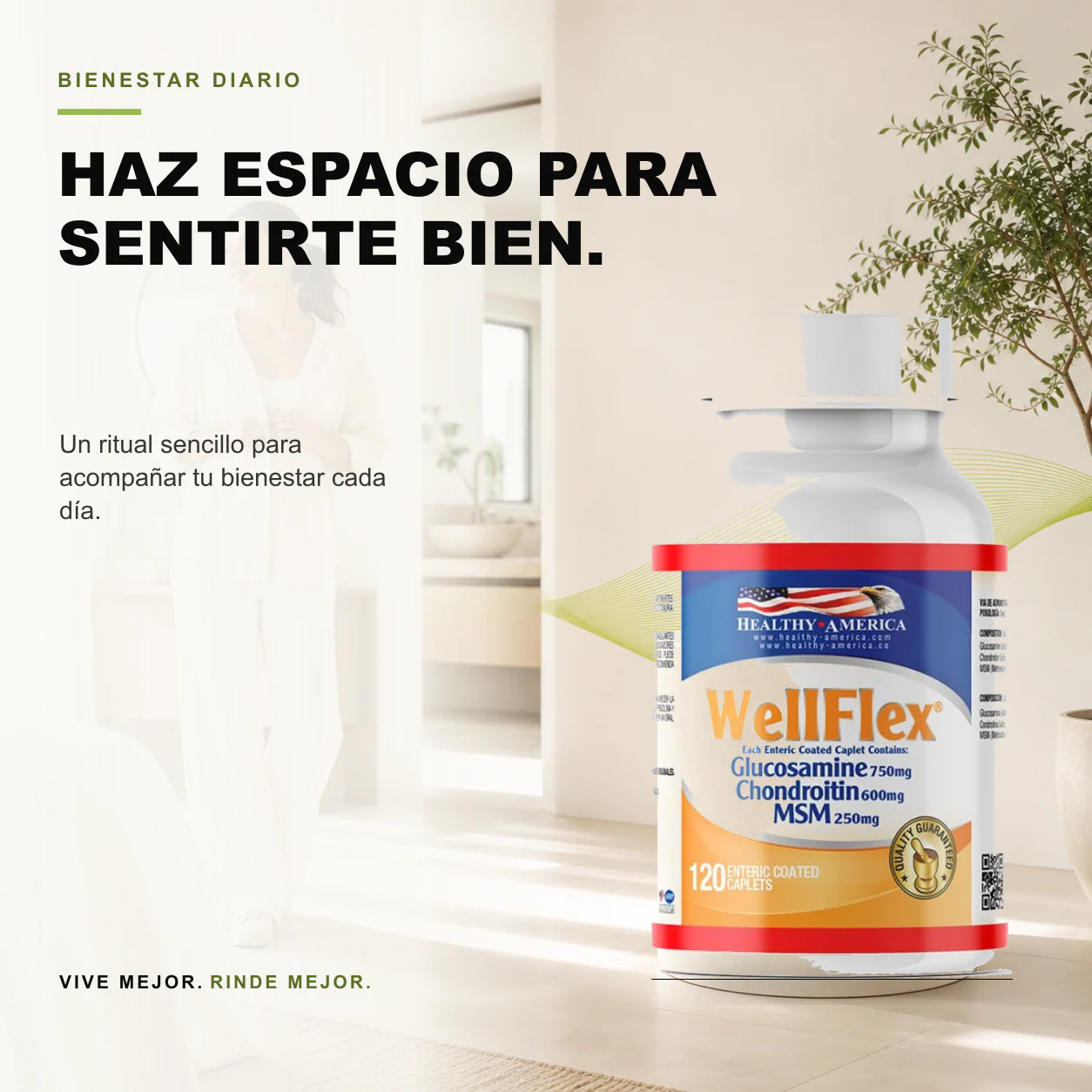 WellFlex Glucosamina, Condroitina, MSM 120 Caplets - Healthy America - Image 3